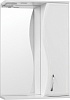 Зеркальный шкаф Style Line Панда 550/С, Волна